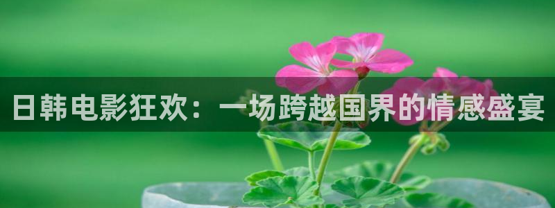 贵阳可可影视