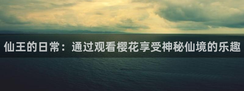 星空影视大全高清版