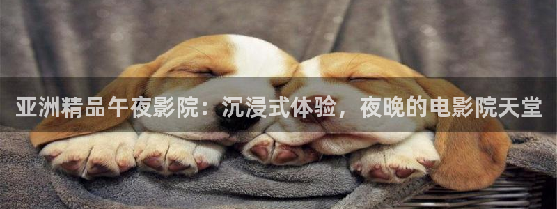 星空无限传媒影视在线观看