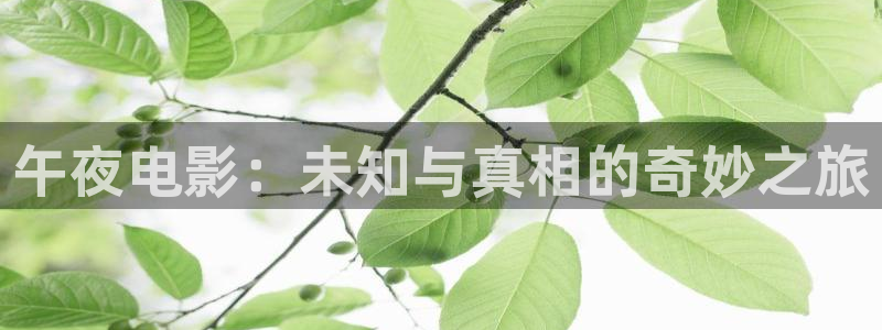 郑州星空影城
