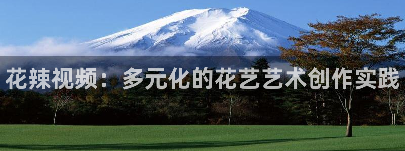 星空免费电影