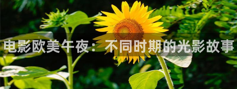 可可影视电视免费播