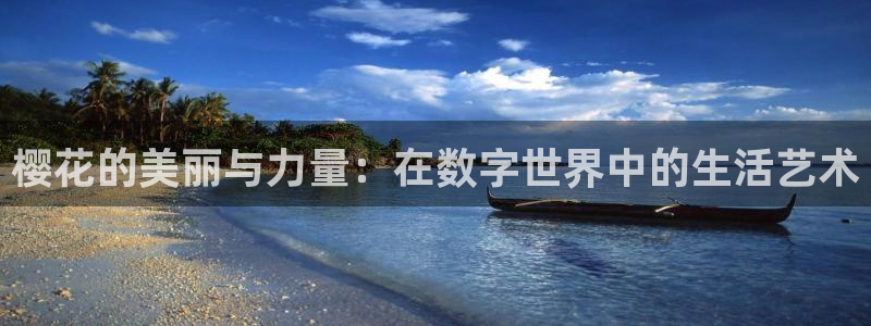 可可影视大片