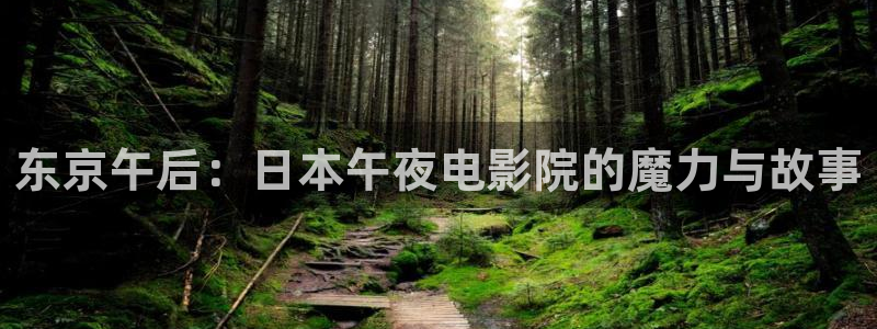 可可影视高清视频