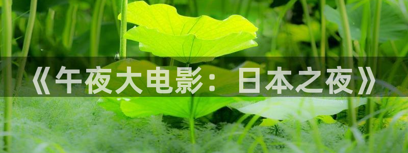 星空的电影
