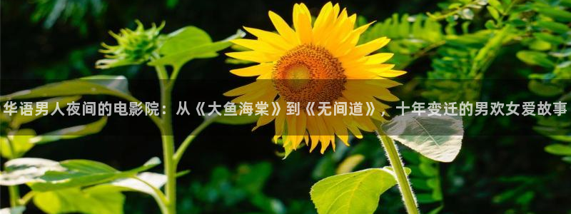 星空免费观看高清
