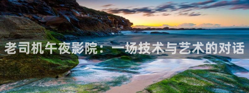 电视剧那片星空那片海2
