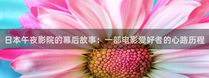 星空视频影视下载官网