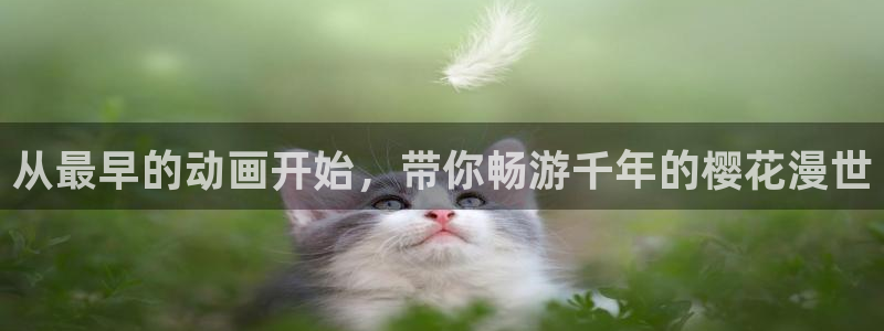 关于星空