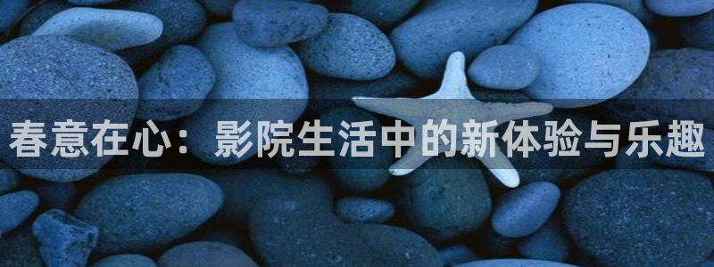 可可影视最新电影