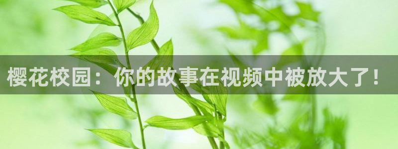 星空视频播放