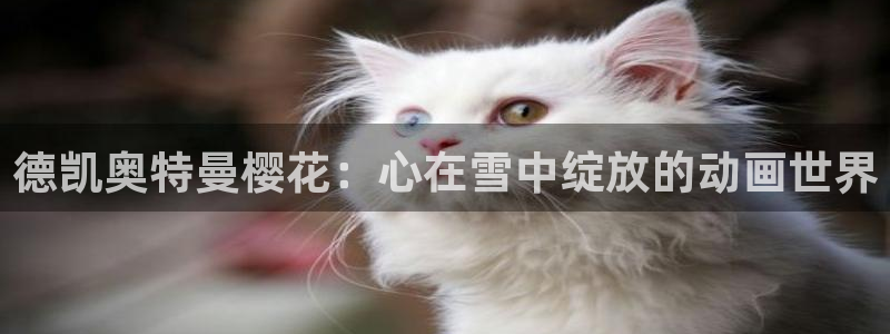 星空电影高清完整版免费观看