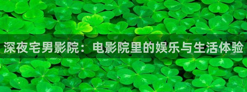 可可影视在线观看视频