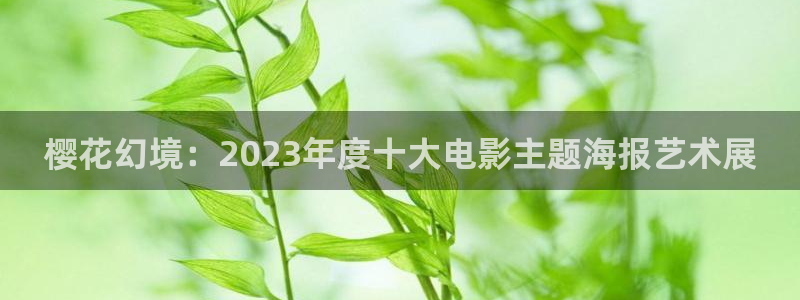 后宫露营可可影视