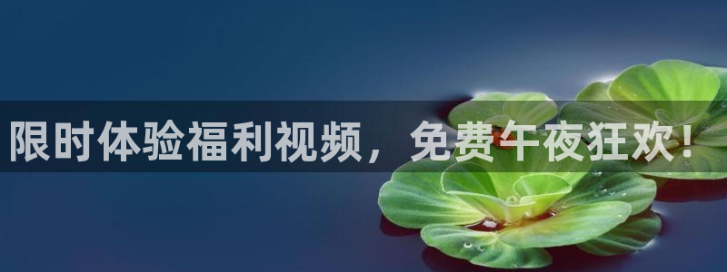 长乐曲免费观看可可影视