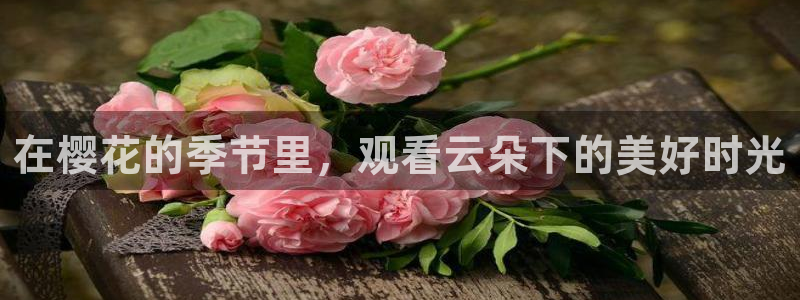 可可影视视频在线观看免费播放