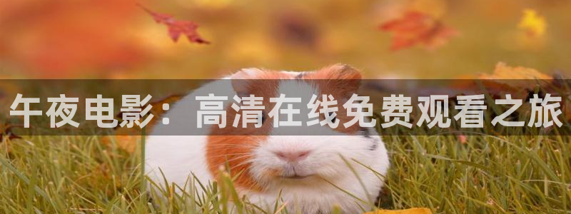 可可影视高清电影