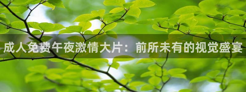 可可影视在线观看电视剧电影