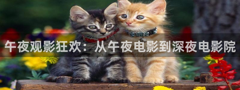 可可影视在线观看青柠电视剧免费