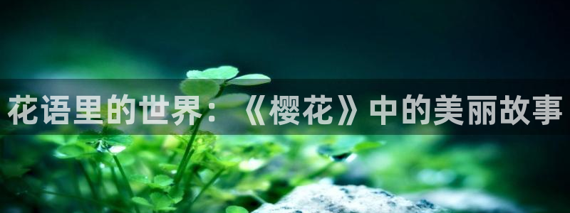 星空无限传媒免费播放