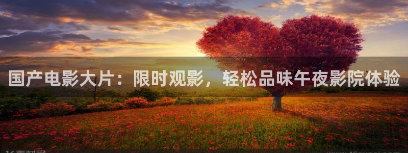 午夜星空影视