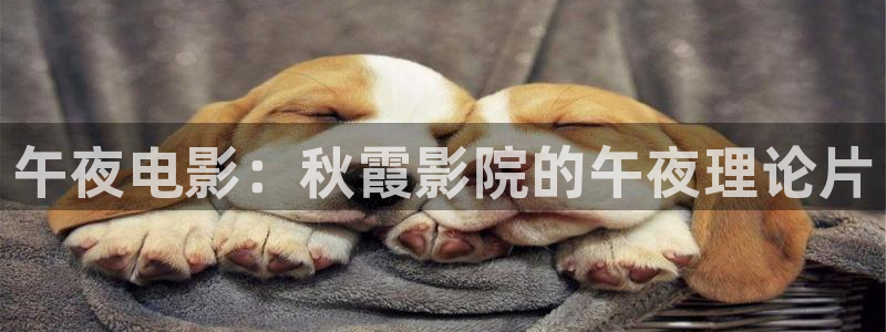 星空影视下载ios